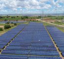 GSECL request proposals for 20 MW solar plant