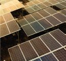 NHPC awards contracts for 1000 MW of solar projects